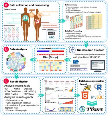 TTSurv: Exploring the Multi-Gene Prognosis in Thousands of Tumors